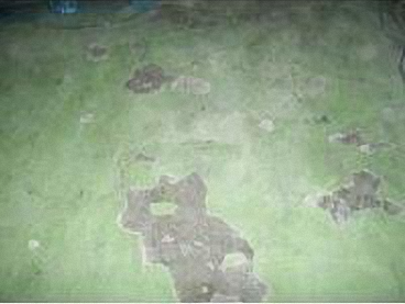 滄晟地坪漆_廠(chǎng)房地坪為何要進(jìn)行翻新的五大項(xiàng)！